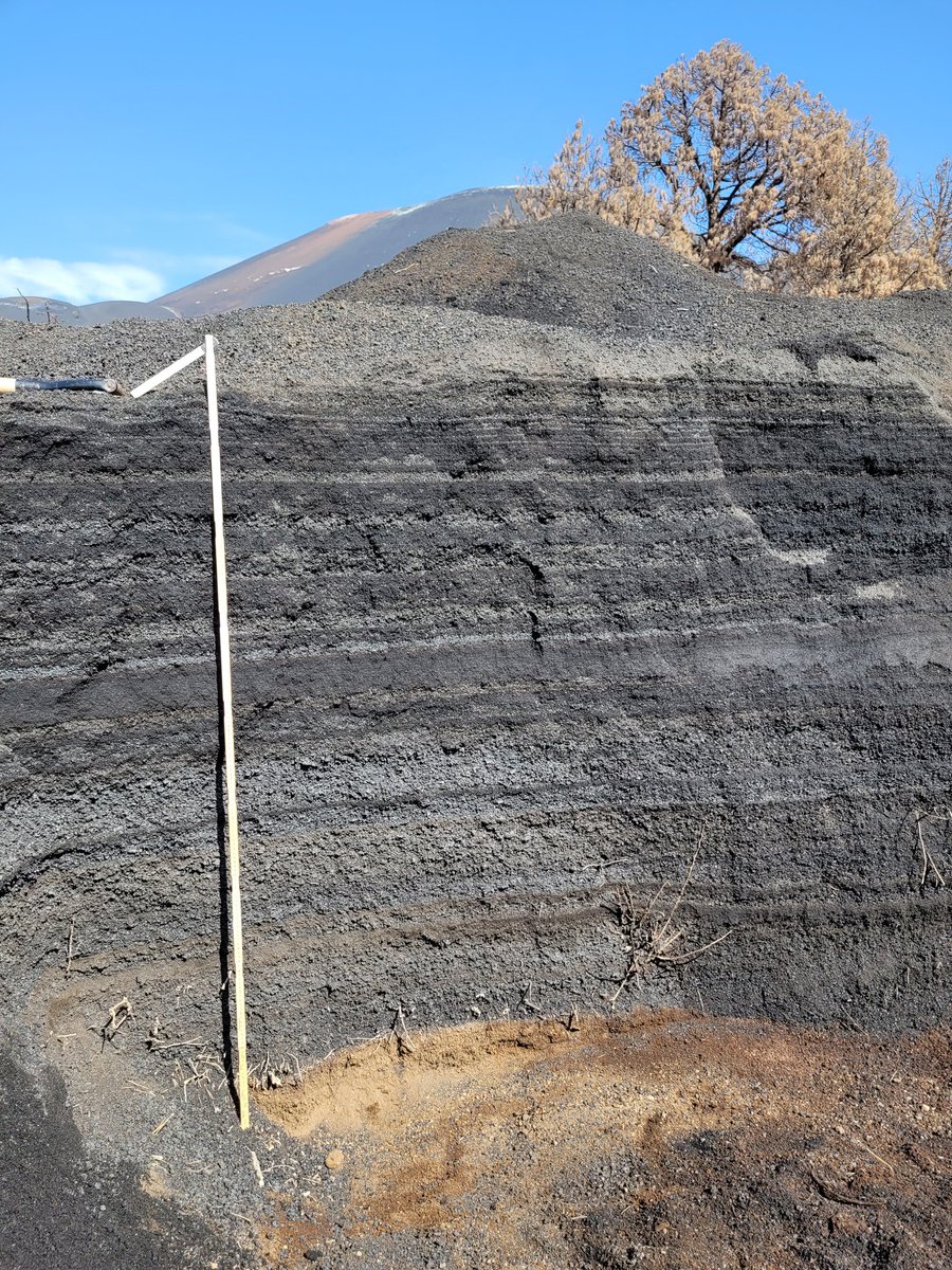 Prof Costanza Bonadonna (@costanzabnd) on Twitter photo Interested in tephra sedimentation and grainsize of long-lasting pulsatory activity? Check our new paper on the 2021 #Tajogaite hybrid eruption of #LaPalma with <a href="/m_pistolesi/">Marco Pistolesi</a> <a href="/FreretValentin/">Valentin Freret</a> <a href="/drGonzoRoberts/">Sébastien Biass</a> <a href="/jeromerovolcan/">Jorge Eduardo Romero Moyano</a> <a href="/cammpastore/">Camille Pastore</a> <a href="/involcan/">INVOLCAN</a>: doi.org/10.3389/feart.… Interested in tephra sedimentation and grainsize of long-lasting pulsatory activity? Check our new paper on the 2021 #Tajogaite hybrid eruption of #LaPalma with <a href="/m_pistolesi/">Marco Pistolesi</a> <a href="/FreretValentin/">Valentin Freret</a> <a href="/drGonzoRoberts/">Sébastien Biass</a> <a href="/jeromerovolcan/">Jorge Eduardo Romero Moyano</a> <a href="/cammpastore/">Camille Pastore</a> <a href="/involcan/">INVOLCAN</a>: doi.org/10.3389/feart.…