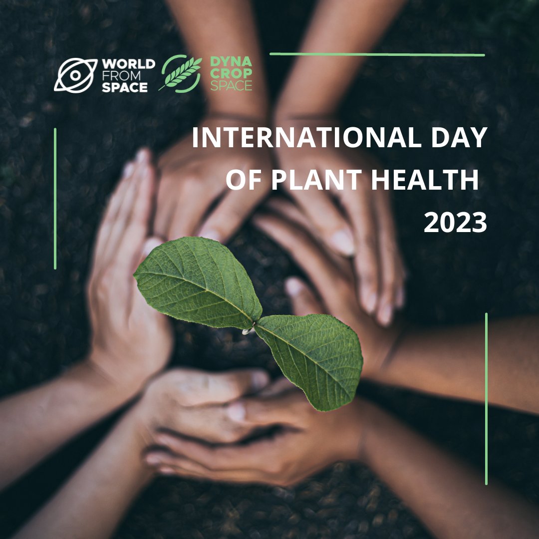 DynaCrop tweet media