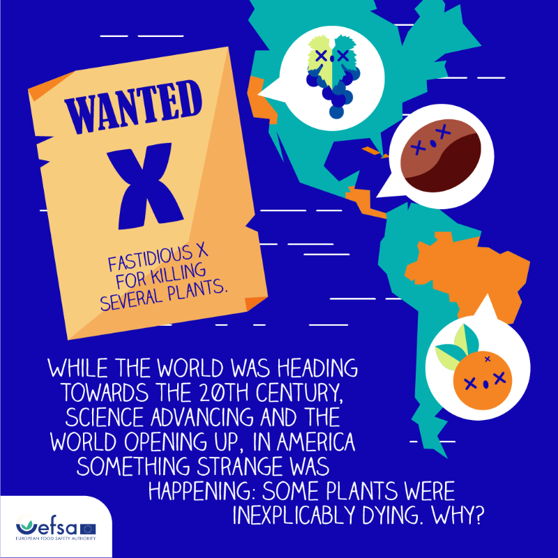 EFSA_EU's tweet photo. 💥Kaboom! The 1⃣ episode of our #comic series #FastidiousX is out now🗯️

Join us as we unmask Fastidious X, the fearsome killer 🦠 silently attacking #plants.

Be part of a thrilling journey to uncover the truth

Check it out 👇

https://t.co/AhlQbWOJlK

#EUPlantHealth #EFSAComic