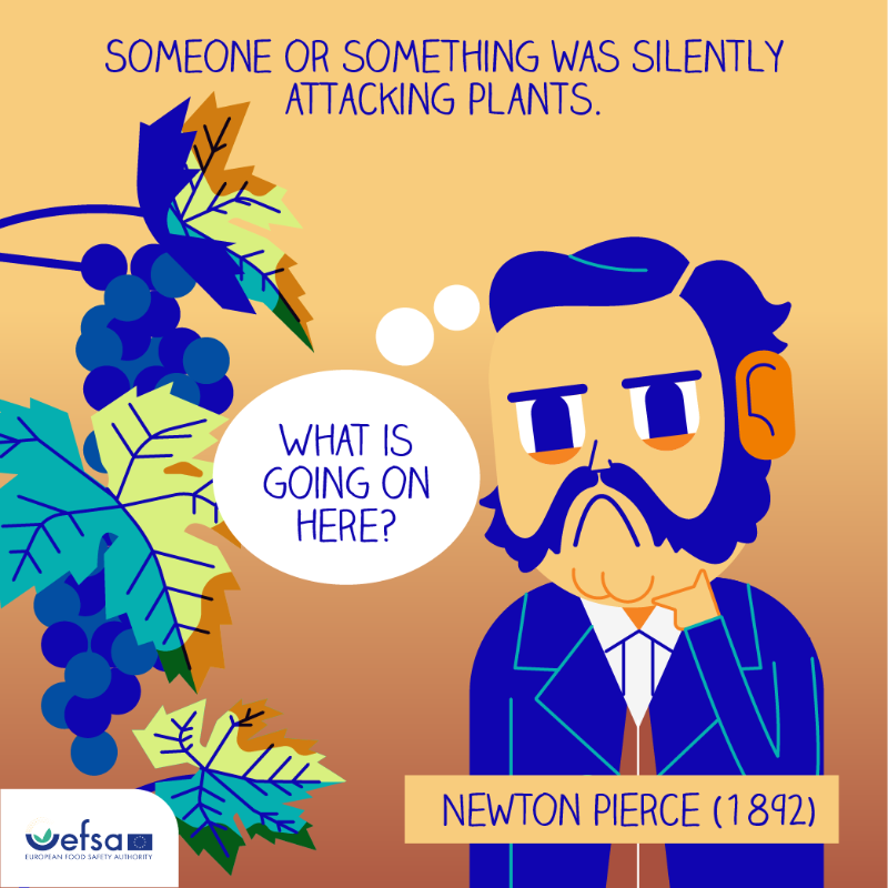 EFSA_EU's tweet photo. 💥Kaboom! The 1⃣ episode of our #comic series #FastidiousX is out now🗯️

Join us as we unmask Fastidious X, the fearsome killer 🦠 silently attacking #plants.

Be part of a thrilling journey to uncover the truth

Check it out 👇

https://t.co/AhlQbWOJlK

#EUPlantHealth #EFSAComic