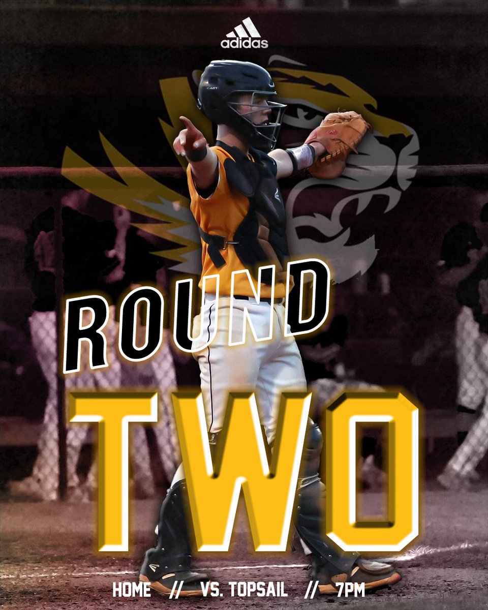 Diamond Tigers (@chtigersbsb) on Twitter photo 