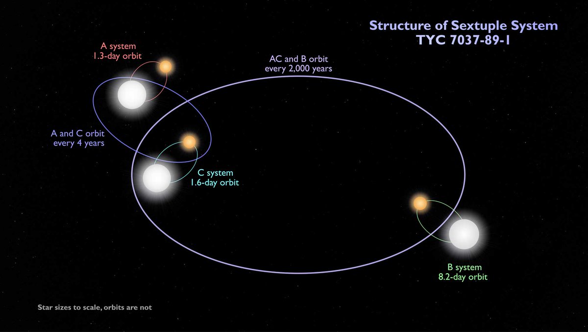 ToughSf's tweet photo. 1900 lightyears away is TYC 7037-89-1, a six-star system.
The triple-binary stars are all aligned to regularly eclipse each other from our point of view.
https://t.co/jrGtsgXOmr https://t.co/lpfSDvZ3xN