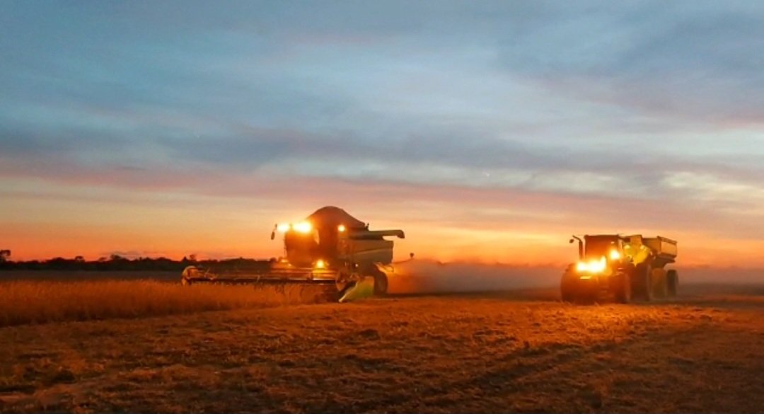 El Paraguay que progresa! Agricultura en el Chaco