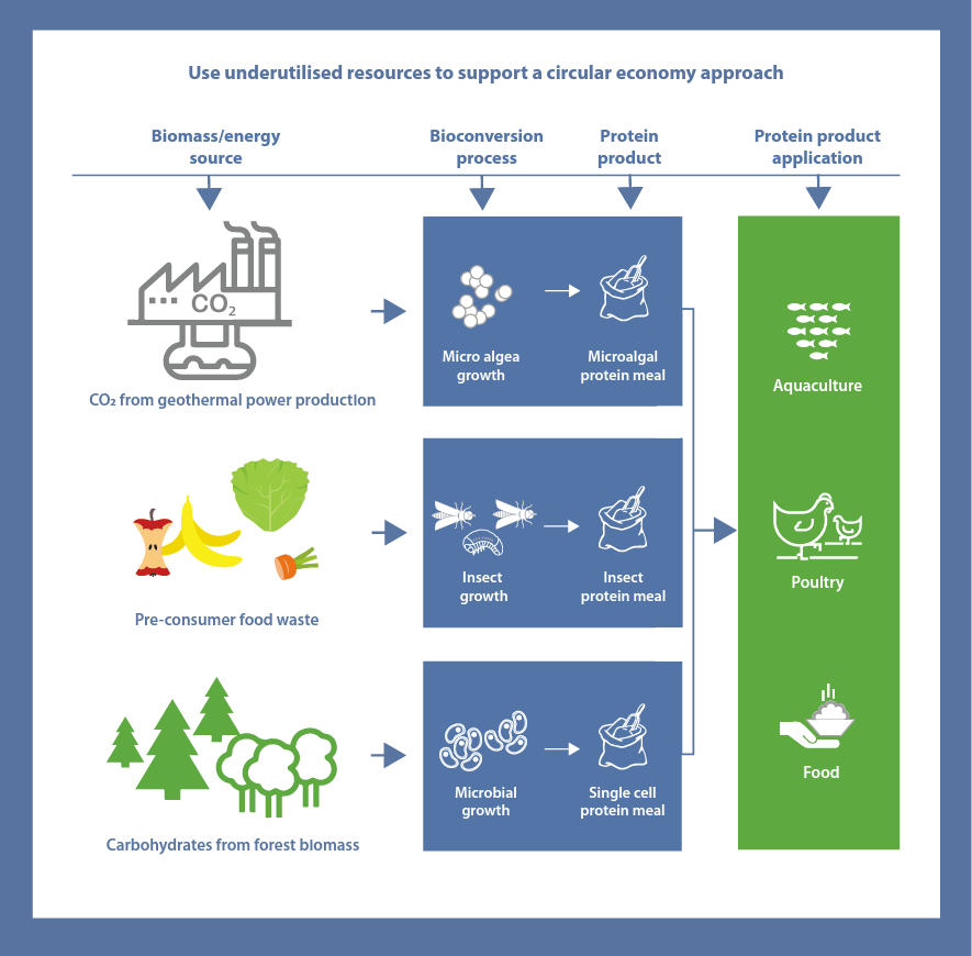NextGenProteins tweet media