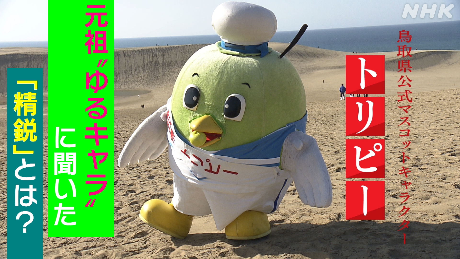 鳥取 ゆるキャラ トリピー | ガイナーレ鳥取 トリピー – TVQGLO