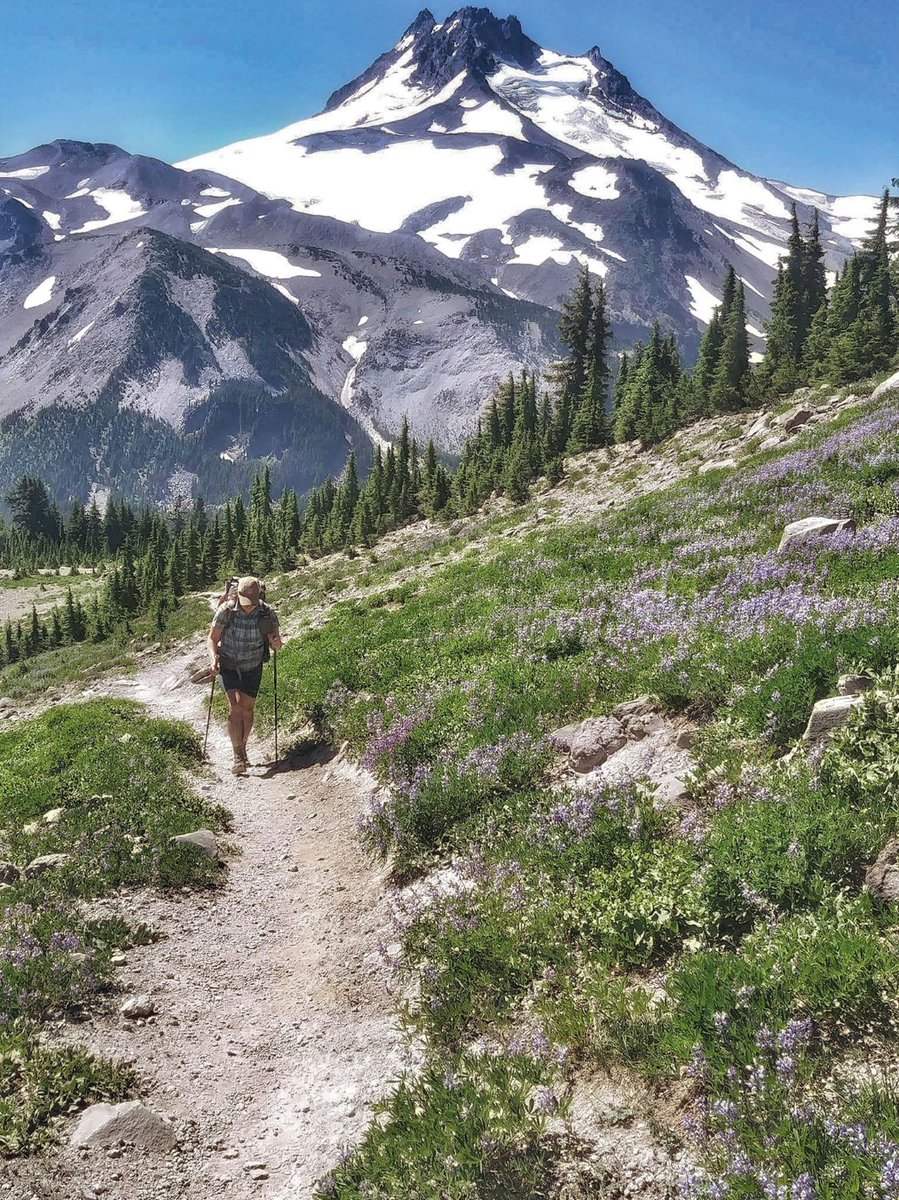 The Great Outdoors tweet media