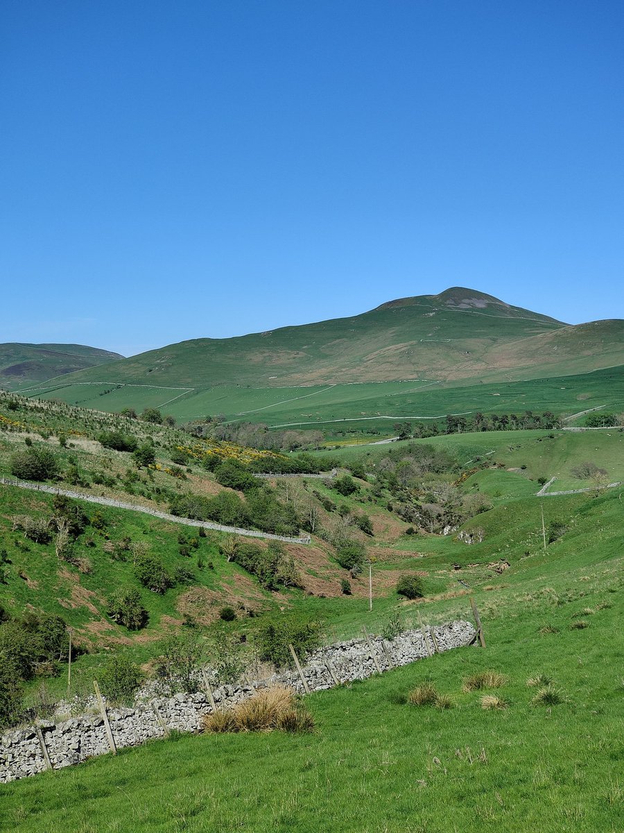 Perfect day, perfect place, off the beaten track to meet up with #GoRuralScotland members at #Beirhope. 
Great hospitality from Lynne & team, 2 & 4 legged! Impressive representation for #scottishagritourism by #GoRural, support from #VisitScotland, #SSDA & #SoSE