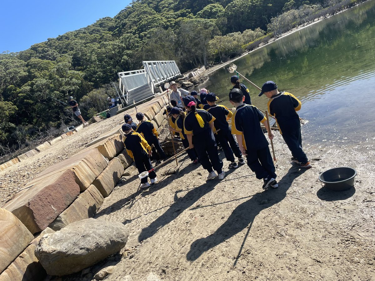 BradDawes83's tweet photo. Today, my year 2 class visited The Royal National Park which is part of our English/Geography (informative writing). 
Students were able to immerse themselves within nature, learning about the park’s flora and fauna and its beautiful landscapes #acuedu_p https://t.co/r8GDEziz5m