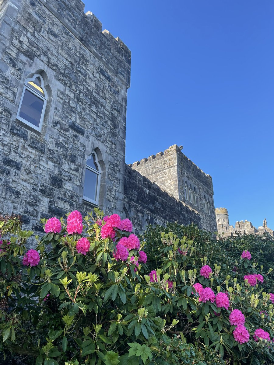 Ashford Castle tweet media