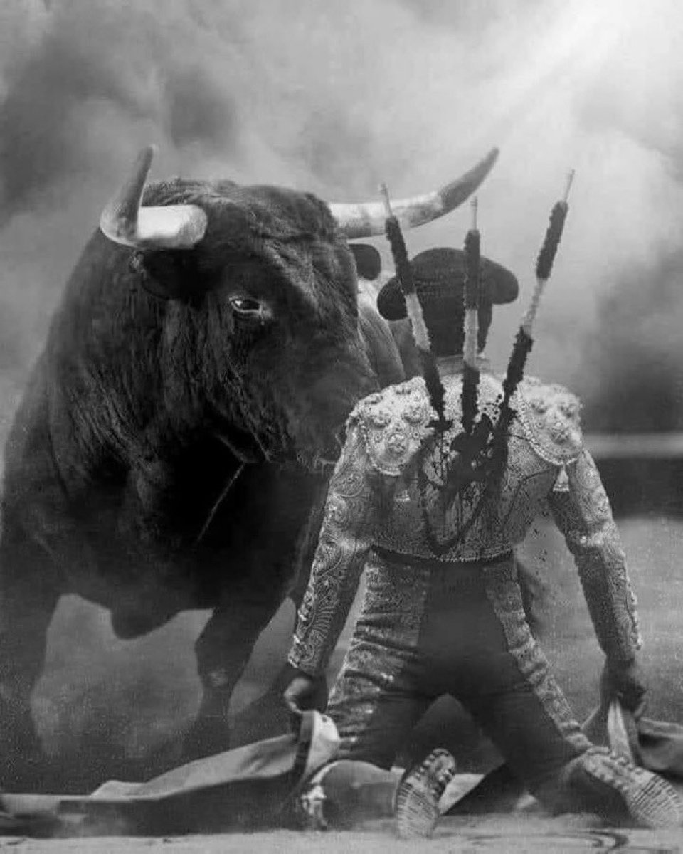 Justice? Olé Olé #terugvolgvrijdag
