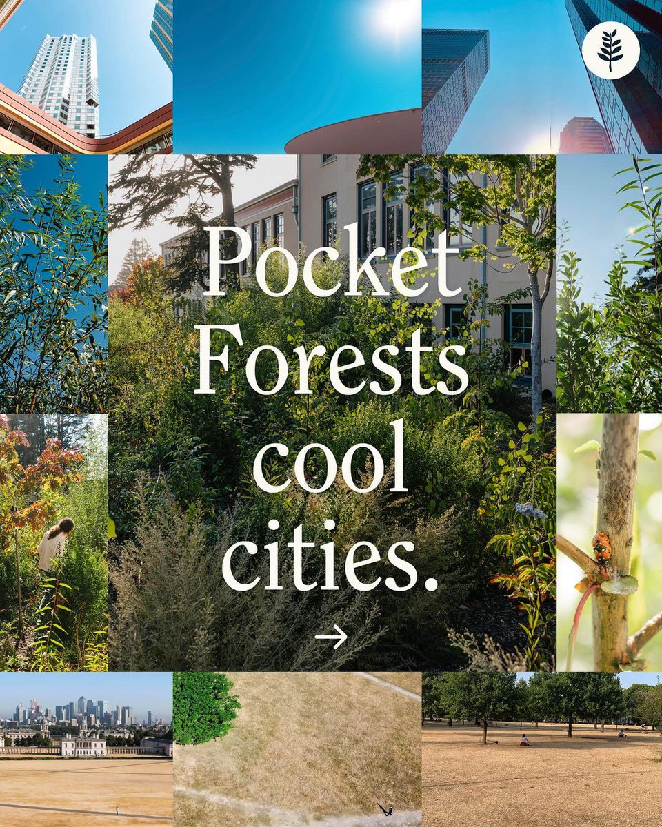 SaynotoAC's tweet photo. Support nature-based solutions that build biodiversity, climate resilience and wellbeing in cities.
#SaynotoAC #naturebasedsolutions #pocketforests #microforests https://t.co/5tncWz3oRT