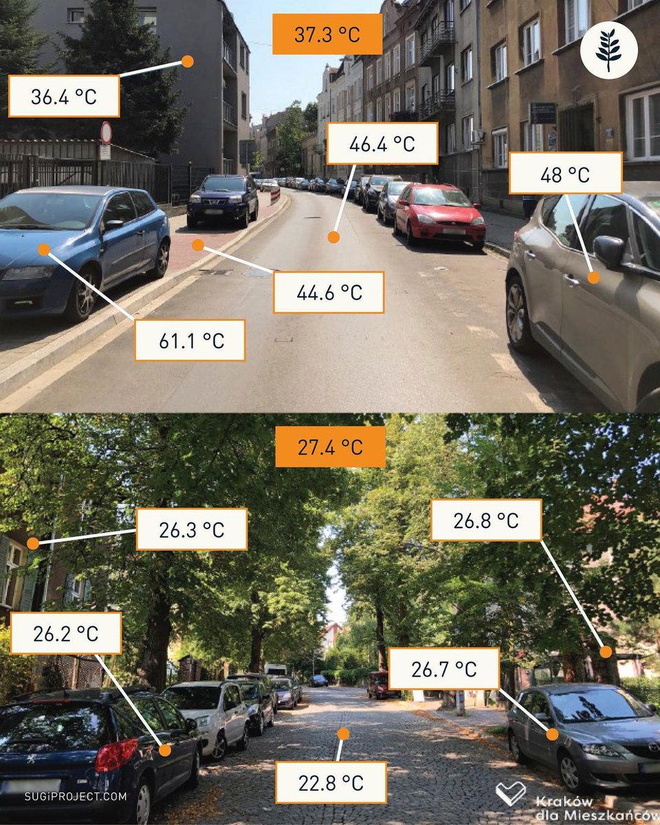 SaynotoAC's tweet photo. Support nature-based solutions that build biodiversity, climate resilience and wellbeing in cities.
#SaynotoAC #naturebasedsolutions #pocketforests #microforests https://t.co/5tncWz3oRT