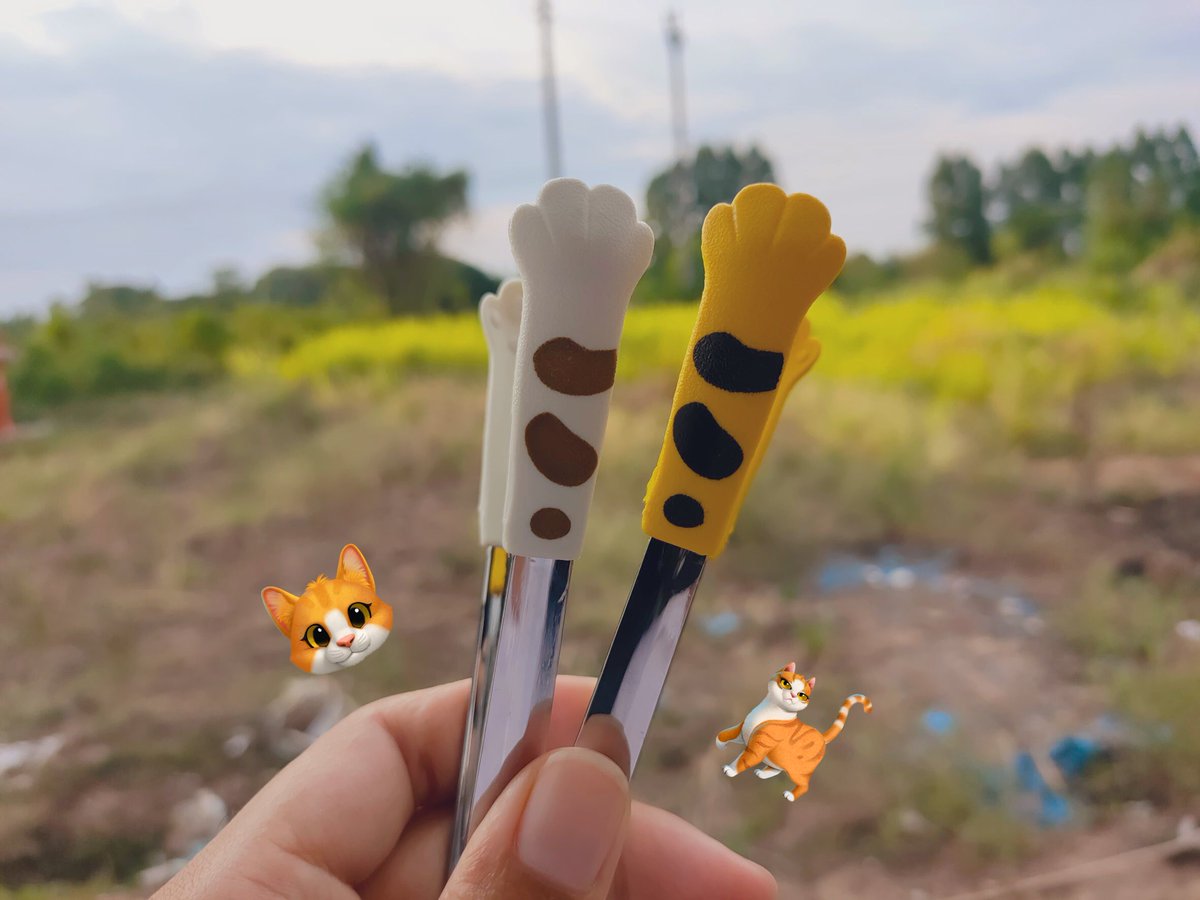 baimaasharez's tweet photo. ที่คีบอุ้งมือน้องเหมียว 🐱 แอดเพิ่งได้ของเลย น้องน่ารักสมราคา แอดจะเอาไปให้ลูกค้าคีบขนม ลูกค้าต้องใจละลายกันไปข้าง หึ!!! 🤩
🧡 : https://t.co/GT82fqtHzL
#ก๊อตจิรายุ #โบว์ก๊อต #โหนกระเเส #ก้าวไกลทั้งแผ่นดิน #Area86 #BABYMONSTERisSEVEN #BuildisStarBoy https://t.co/9E6Ws4Pjia