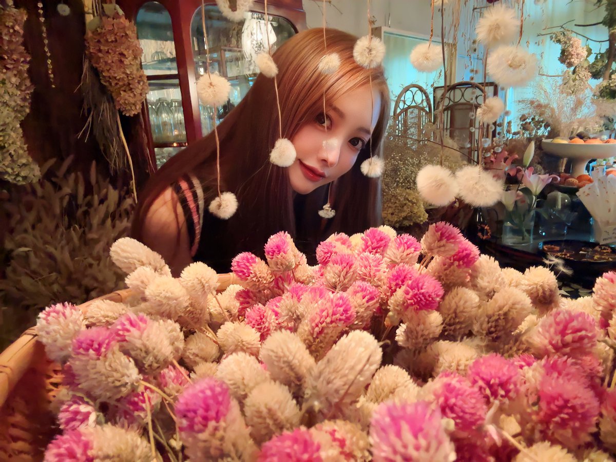 aoiichijo's tweet photo. 光水土🍁🍂 https://t.co/BfOWwrkDY8
