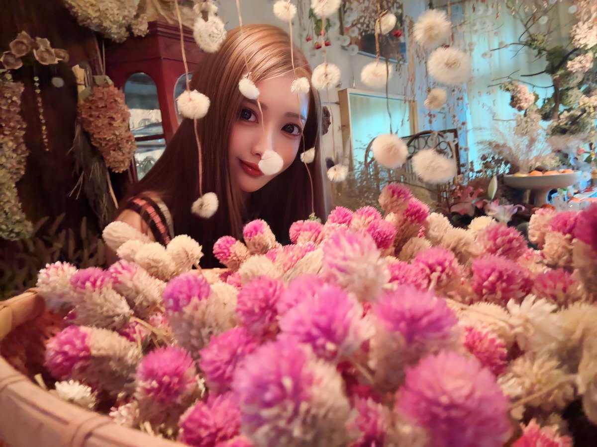 aoiichijo's tweet photo. 光水土🍁🍂 https://t.co/BfOWwrkDY8