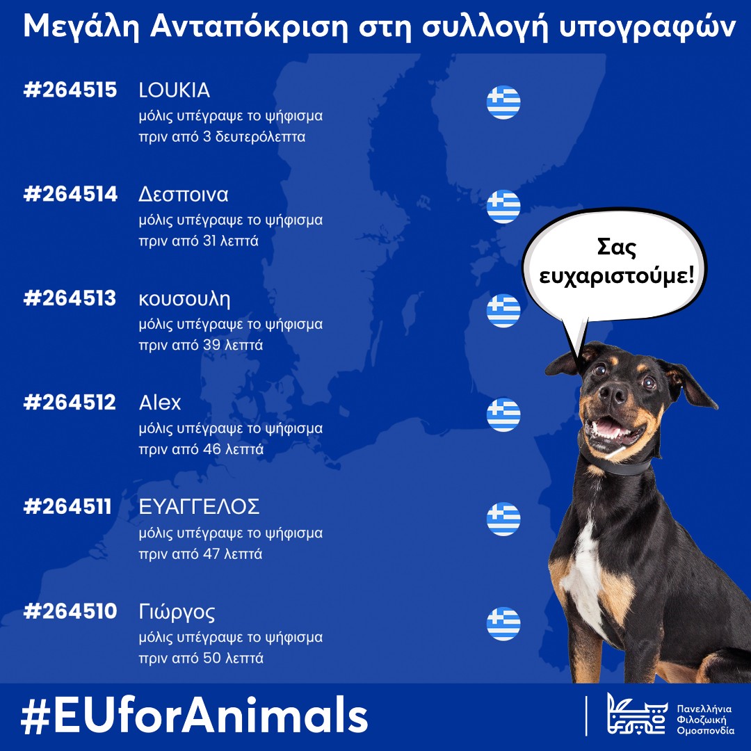 Η συλλογή υπογραφών συνεχίζεται, για τη δίκαιη μεταχείριση των ζώων. Υπογράψτε κι εσείς σήμερα 👉 ow.ly/6GvL50Omc5S

#EUForAnimals #Φιλοζωική #Φιλοζωία #animalrights #greece #Ελλάδα #horses #animals #vegangreece