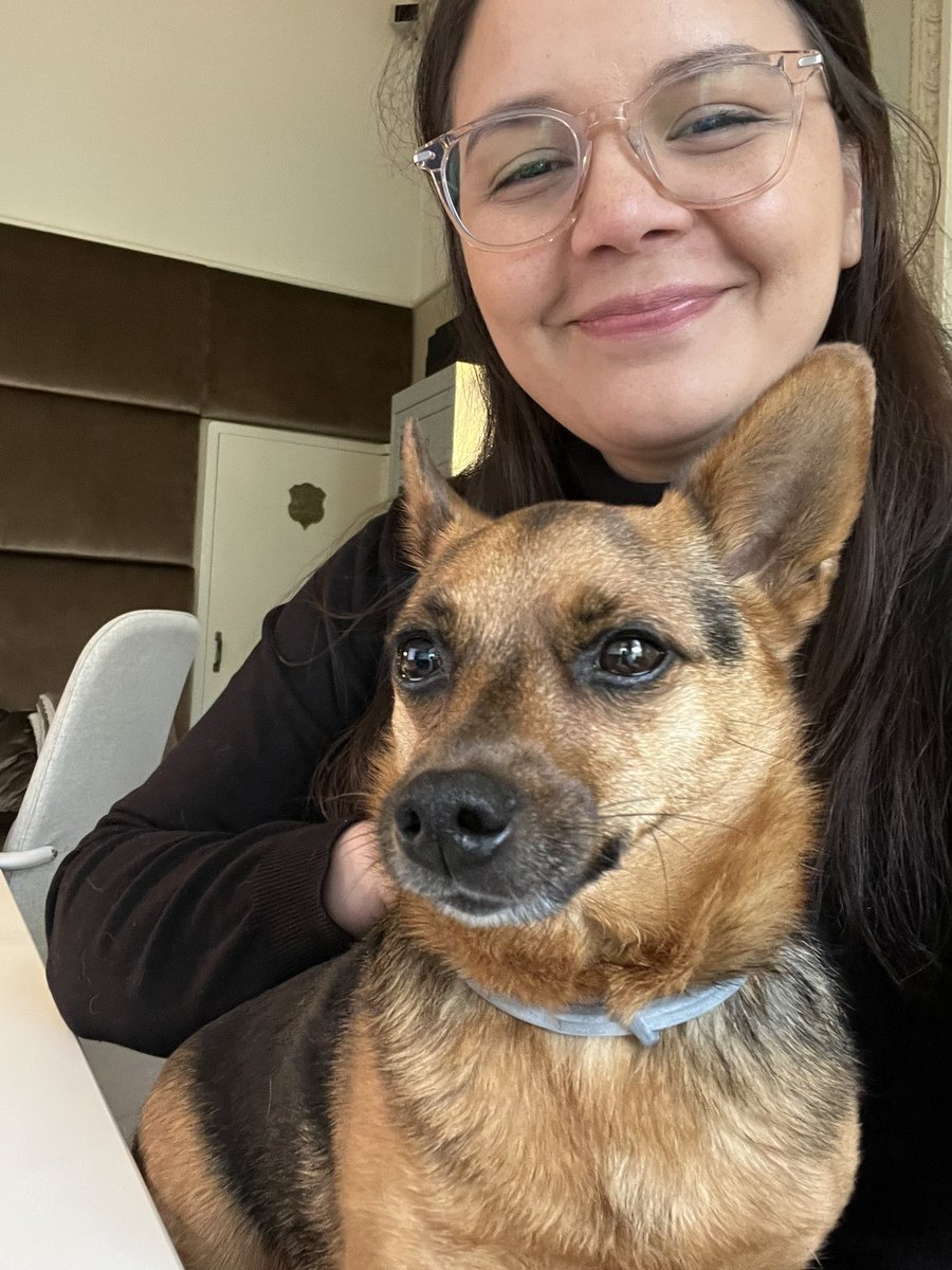 viennaerre's tweet photo. Best part of my office day https://t.co/jTMeD9d0aF