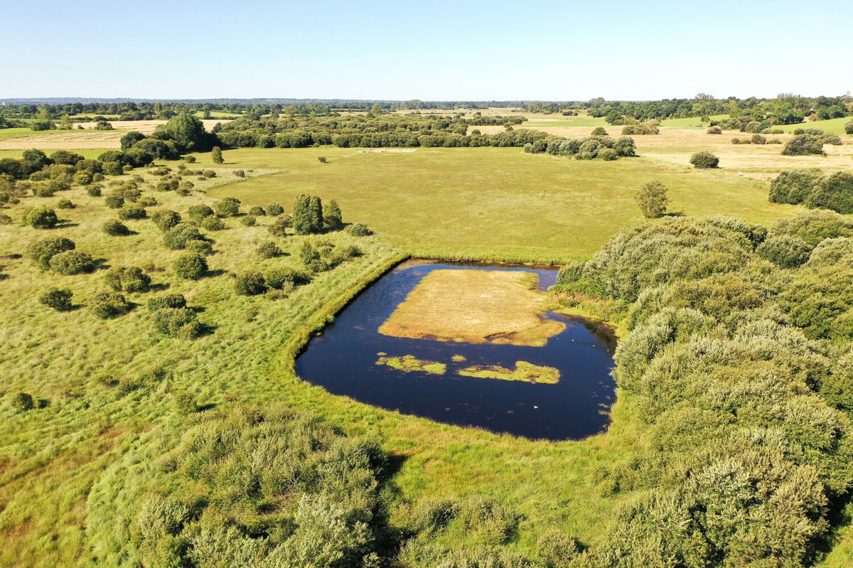 Département de la Manche tweet media
