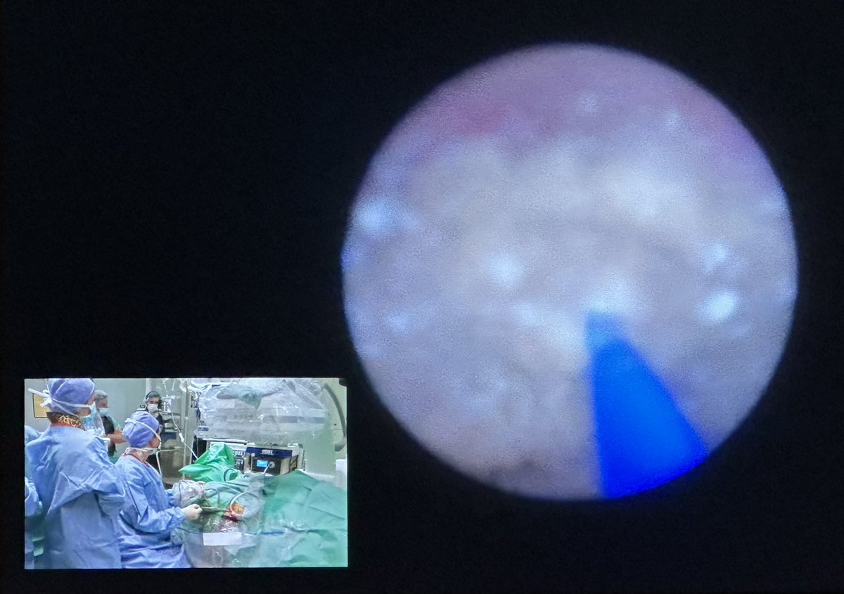 Mon Mon Oo tweet media