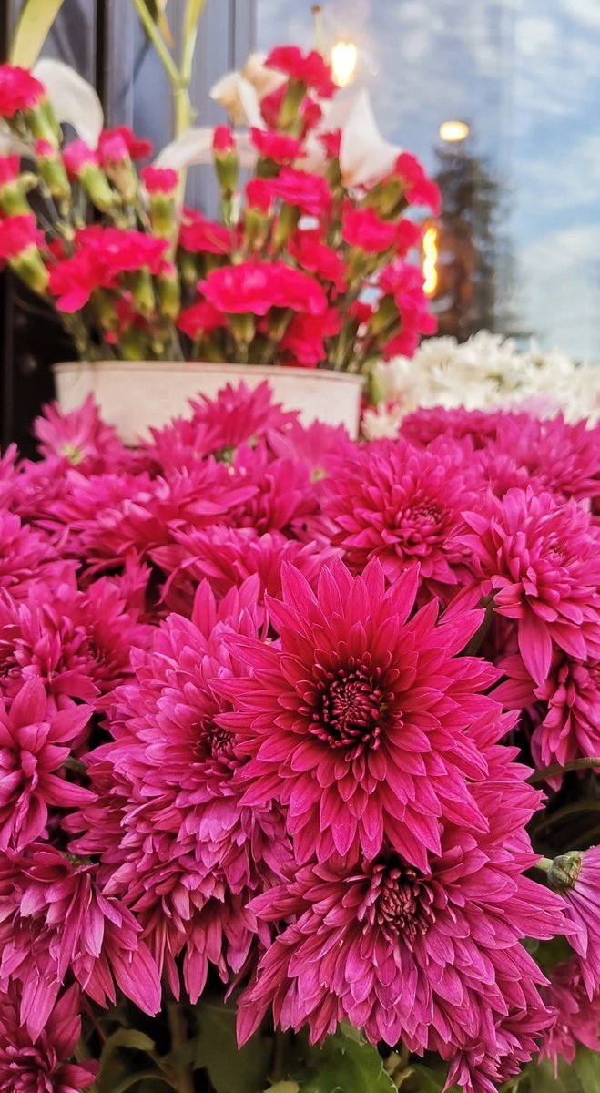 Hoşgeldin yeni yaşım, sağlıkla,mutlulukla, huzurla, sevinçle, dilediklerimin kabul olduğu ve sevdiklerimin daima yanımda olduğu gülüşlerimizin hiç eksik olmadığı bir sene olsun... 💓✨
not: Bolll balon patlatmalı bir gün olsunn 🎈🌺