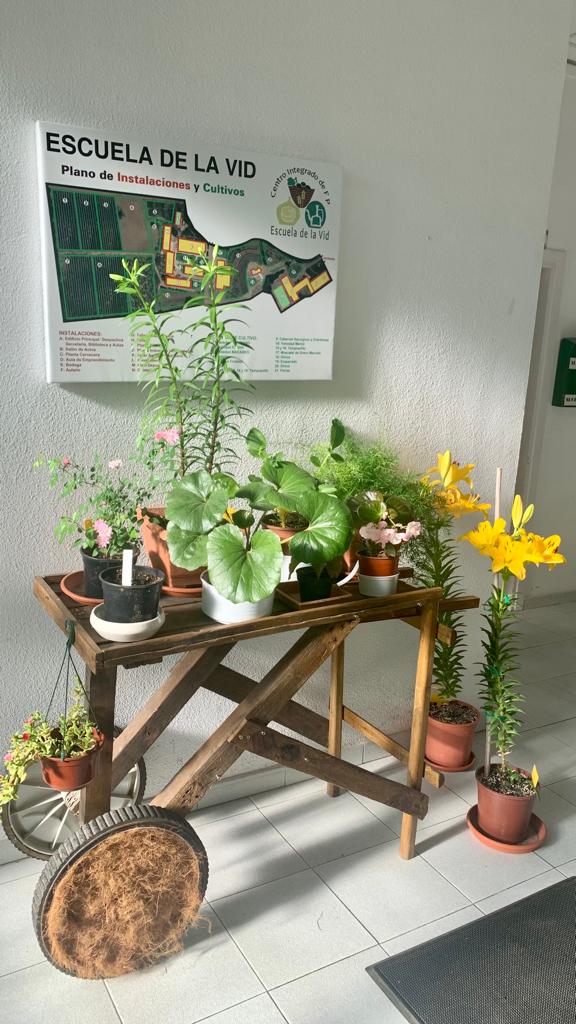 ¡¡¡Ha llegado la primavera a nuestro centro!!!🌸
¿Sabríais decirme qué especies son?😊