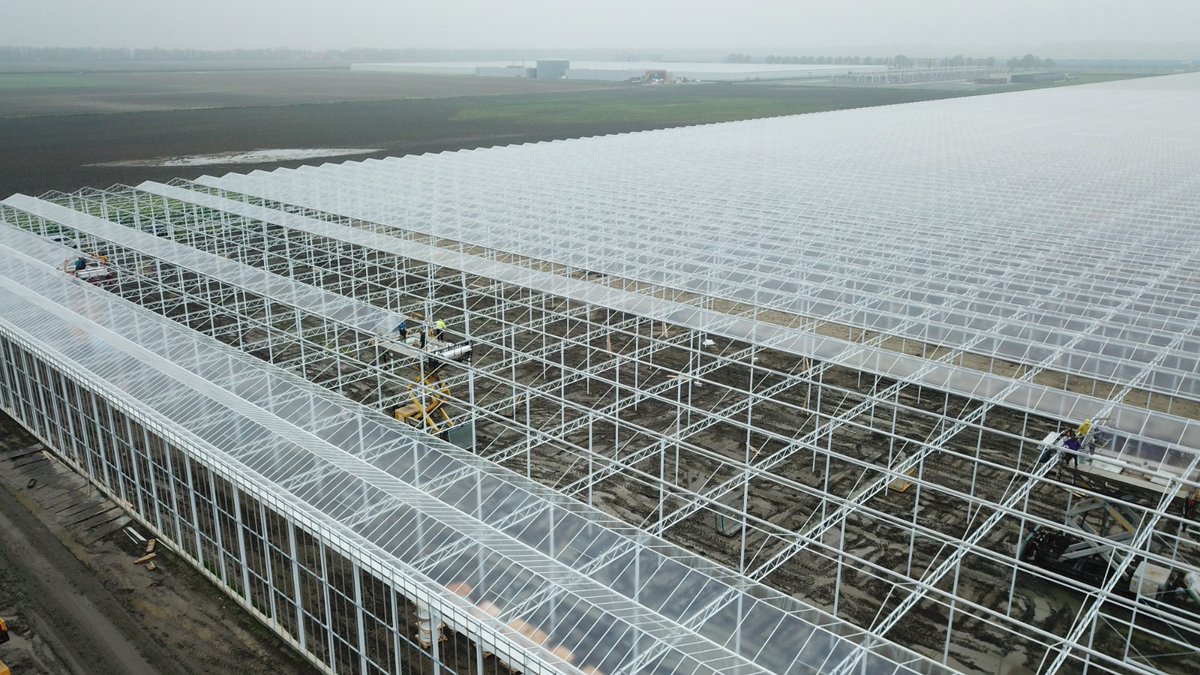 Havecon Horticultural Projects tweet media