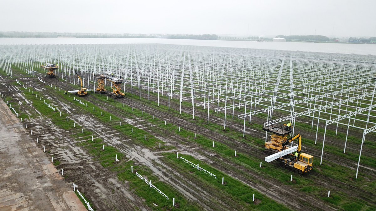 Havecon Horticultural Projects tweet media