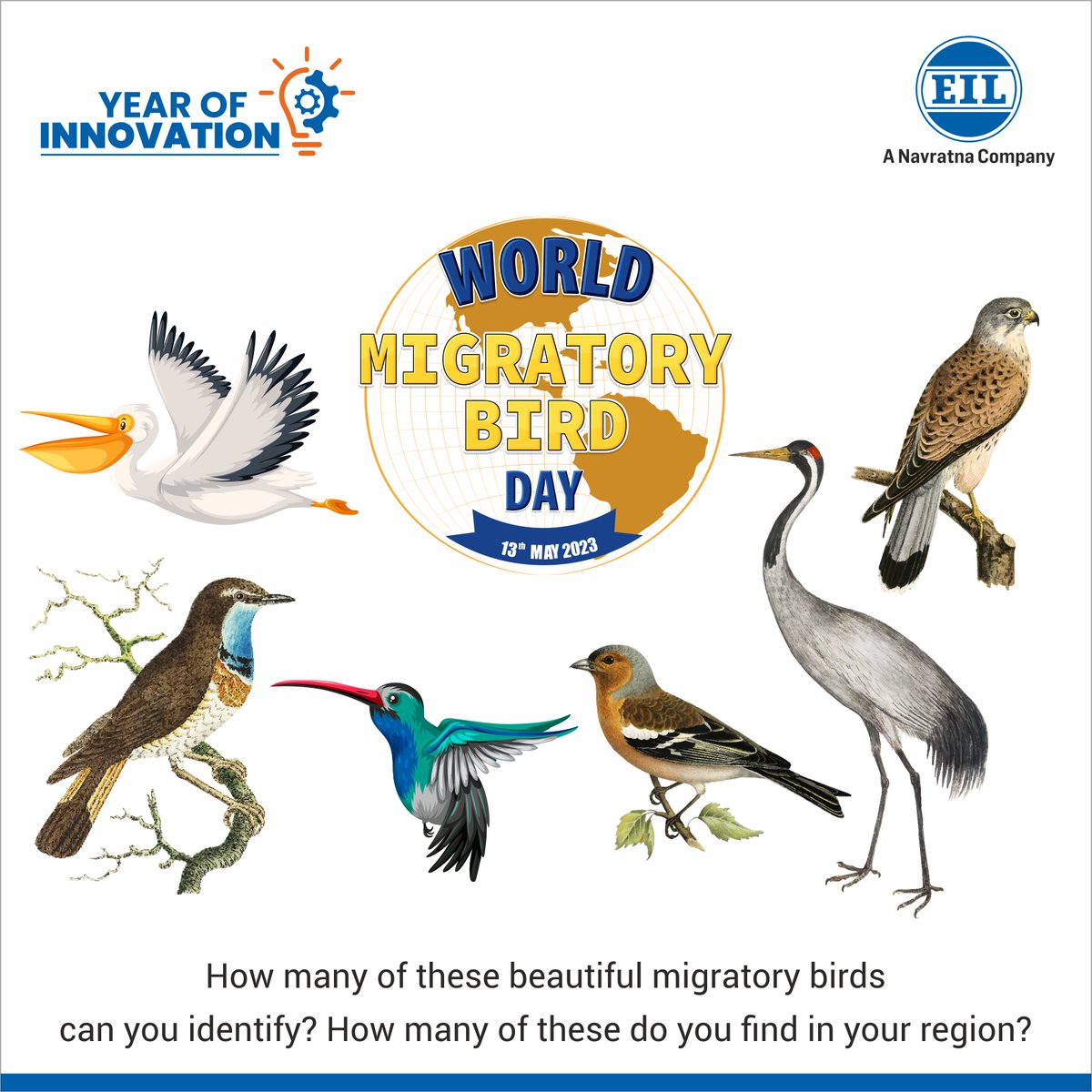 EngineersIND's tweet photo. Team EIL wishes a happy #WorldMigratoryBirdDay to all its valued stakeholders. Let us take this moment to recognize our avian friends' important role in preserving the ecological balance and creating a rich biodiverse habitat.#WMBD23 @HardeepSPuri @Rameswar_Teli @Vartika15791157 https://t.co/WA1ZKeAQeR