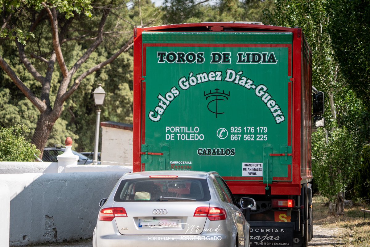 Esperando su día el día de su función , el día que luchas y combates por su vida, el día de la batalla final, tranquilidad y calma en el Batan, un sitio que hace de madrid más original y más taurino , ven al Batan y disfruta del toro con serenidad y calma. 

#elbatan #madrid