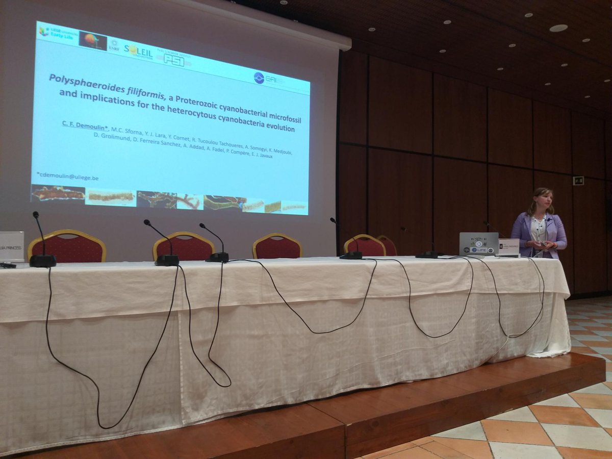 I had the chance to make a presentation yesterday at the EAI Beacon conference ! Such a nice conference !! 👩🏼‍🔬🪐⭐️☄️🌋🌍🧫🧬🔭 #EAIBEACON2023