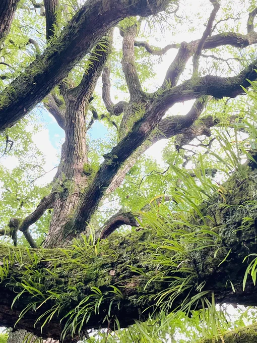 ←撮った写真 →お話を想像して描いたもの