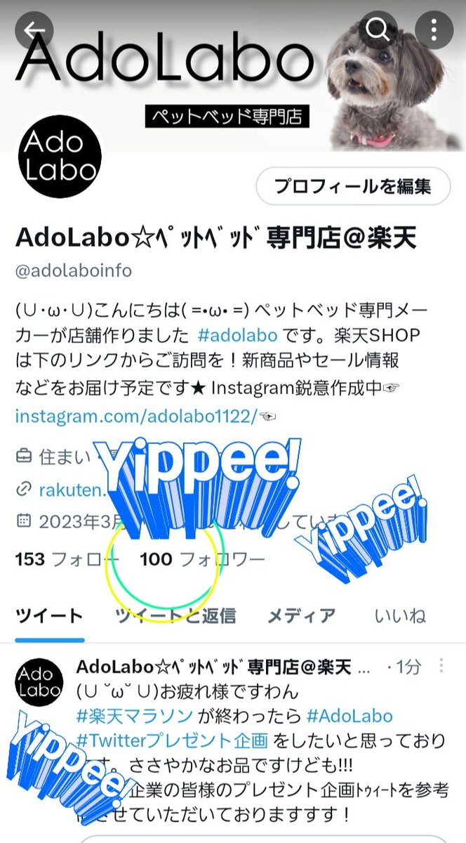 adorablepets_OS's tweet photo. (=ﾟωﾟ=)(U・ェ・)わ��ぁぁぁ！？
100ありがとうございます！
ゆっぴー！！！！！やっぴー！！！？？
Yippeee!!!!!
#フォローありがとうございます https://t.co/PFfnVYBkT3