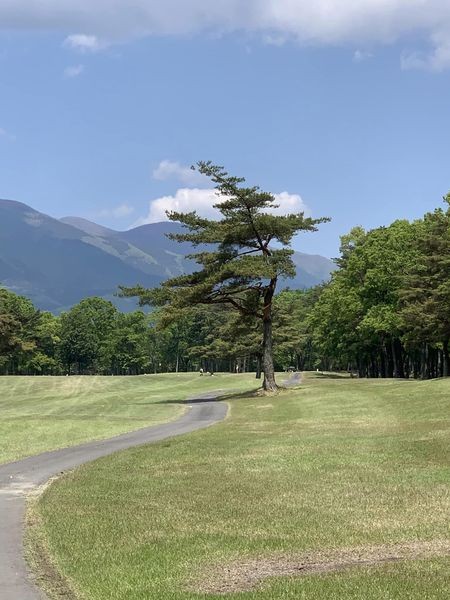 cherry05_10's tweet photo. 1泊2日2ラウンドコンペで栃木県の塩原温泉♨️に宿泊して塩原カントリークラブに行ってきました。ゴルフ場のランチは2日ともバイキングで、バタバタとして撮り忘れました。ホテルでの宴会も盛り上がり楽しい2日間でした。やはり温泉は、いいですね #ゴルフ好きと繋がりたい #ゴルフ初心者 #ゴルフ女子 https://t.co/06nOSHLWVn