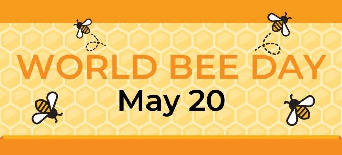 We can Create bee friendly plant biodiversity in agriculture and forest, so that pollen and nectar are made available to them uninterruptedly throughout the year. #WorldBeeDay #beekeeping #SaveTheBees #ecofriendly #bee