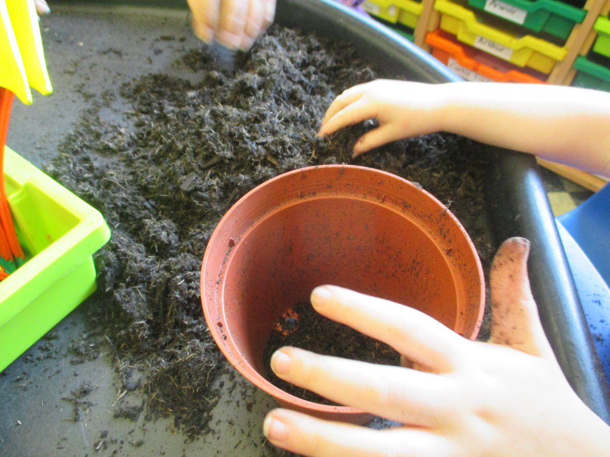 PerryfieldsS's tweet photo. The children have been planting up their beans. They are hoping they grow as tall as the beanstalk in Jack and the Beanstalk! @GWmag @GWandShows https://t.co/bqF8nRX5pW