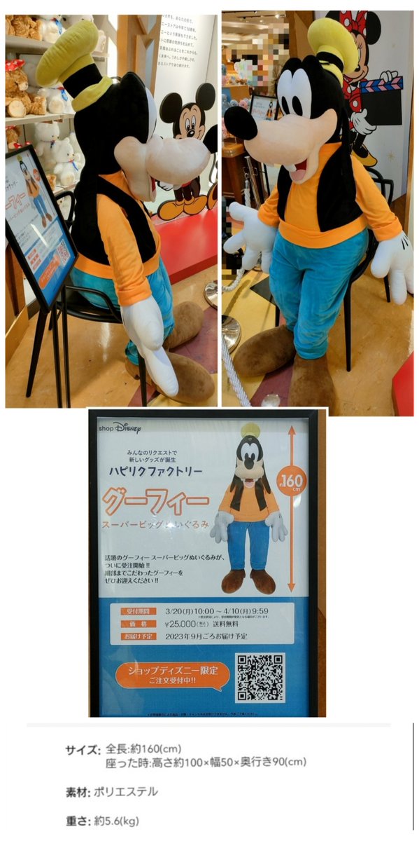 5月16日 予約開始 ビッグ ドナちゃん 112cm、2.8kg、価格 2万円