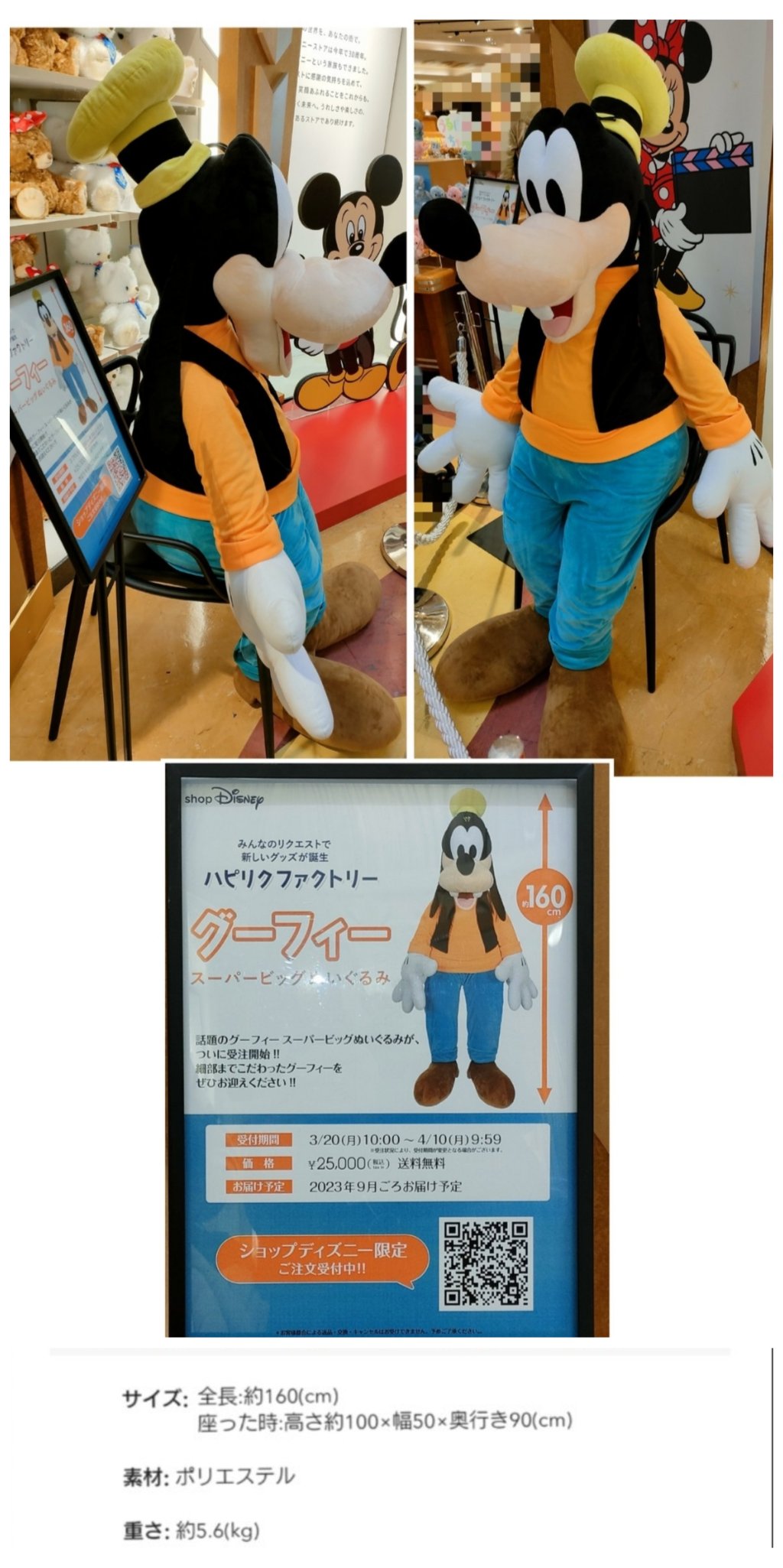 TDR ディズニー ぷらん on X: 