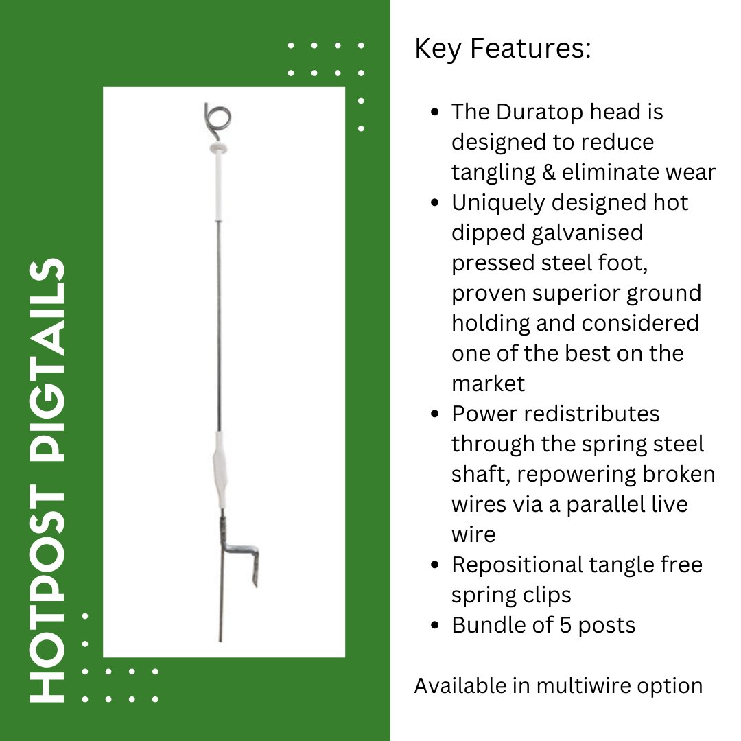 Powered Pasture (@poweredpasture) on Twitter photo Our new Strainrite Hotposts are super popular already!
Designed with a galvanized steel foot, proven superior ground holding & a shaft that becomes live down to the bottom insulator. 
Ideal for cattle, especially bulls that like to push the boundaries.
Available on our website Our new Strainrite Hotposts are super popular already!
Designed with a galvanized steel foot, proven superior ground holding & a shaft that becomes live down to the bottom insulator. 
Ideal for cattle, especially bulls that like to push the boundaries.
Available on our website