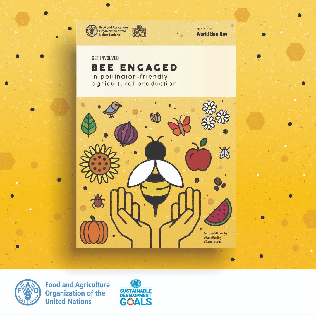 FAOLivestock's tweet photo. In many areas of the 🌎, bees, pollinators, and other insects are declining in abundance and diversity.

We ALL must take action to support them and the livelihoods they support.

🐝 Find out how you can get involved 
👉 https://t.co/0HRGJXUSrT

#WorldBeeDay #SaveTheBees https://t.co/pmVQxcvlxa