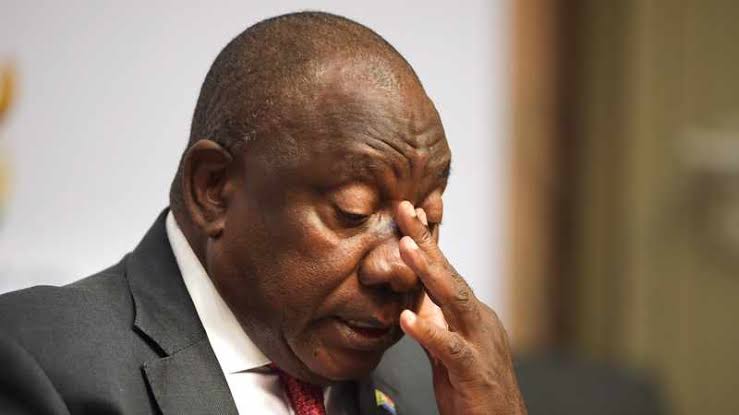 MandlaAfrican's tweet photo. @SephadiG Talking of impostors, this is the real one👇👇👇 he doesn't know he's hou President https://t.co/5UygkeaSRO