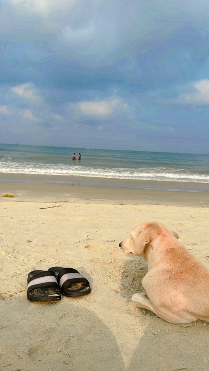 kaashvisaxena's tweet photo. Back from Goa after my last corporate break up :P feeling super refreshed :) 
Time to level up my career game, yet again.🌊

If you're looking to hire someone in growth/marketing team, let's chat!👋 https://t.co/nVkYCBFzTh