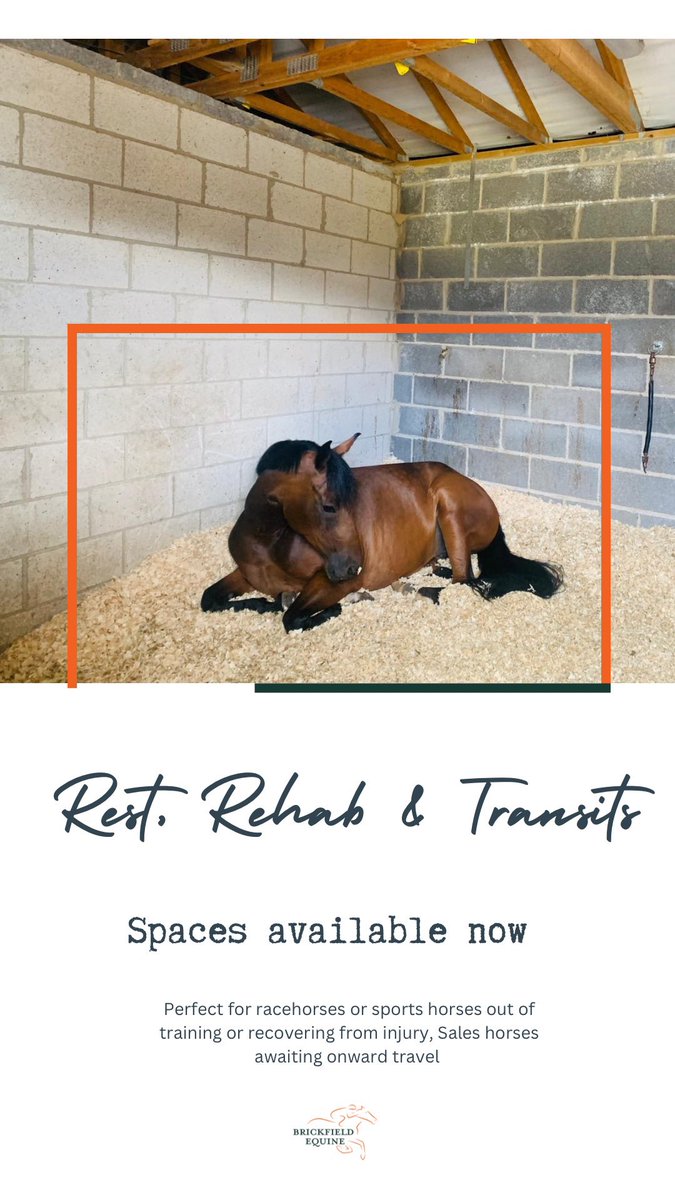 Brickfield Equine tweet media