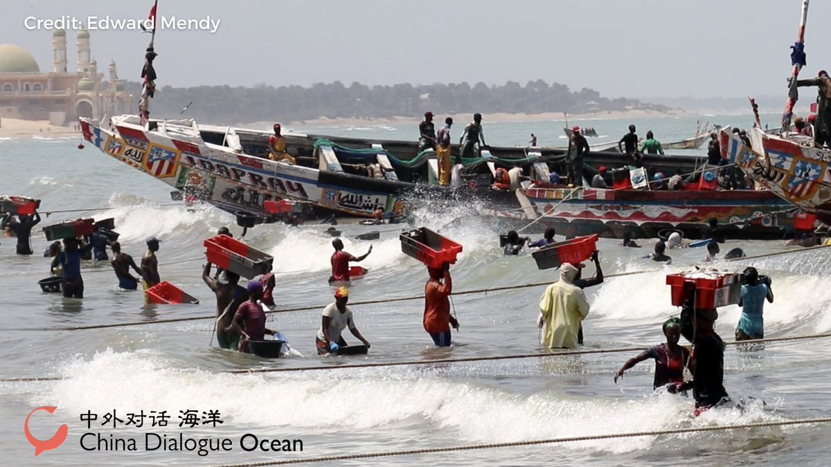 After two workshops, we organised a field trip to see The Gambia’s fisheries on the ground, joined by students from the @UniOfGambia School of Journalism and Digital Media, the @StimsonCenter, @tm_tracking and @UBC. Thread by @j_aldred and @regina_ltc 🧵1/15