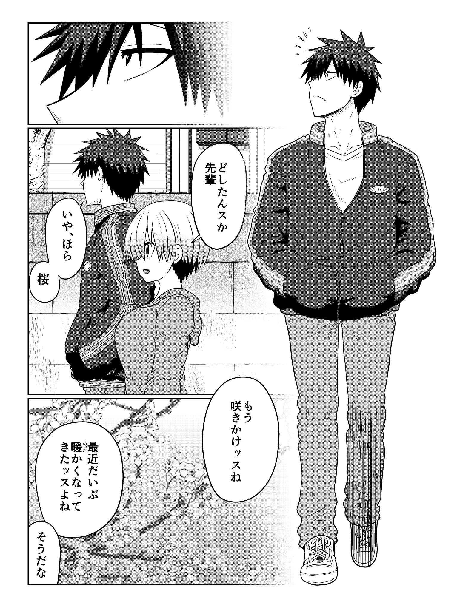 こんにちは！はちゃんです どこいくー