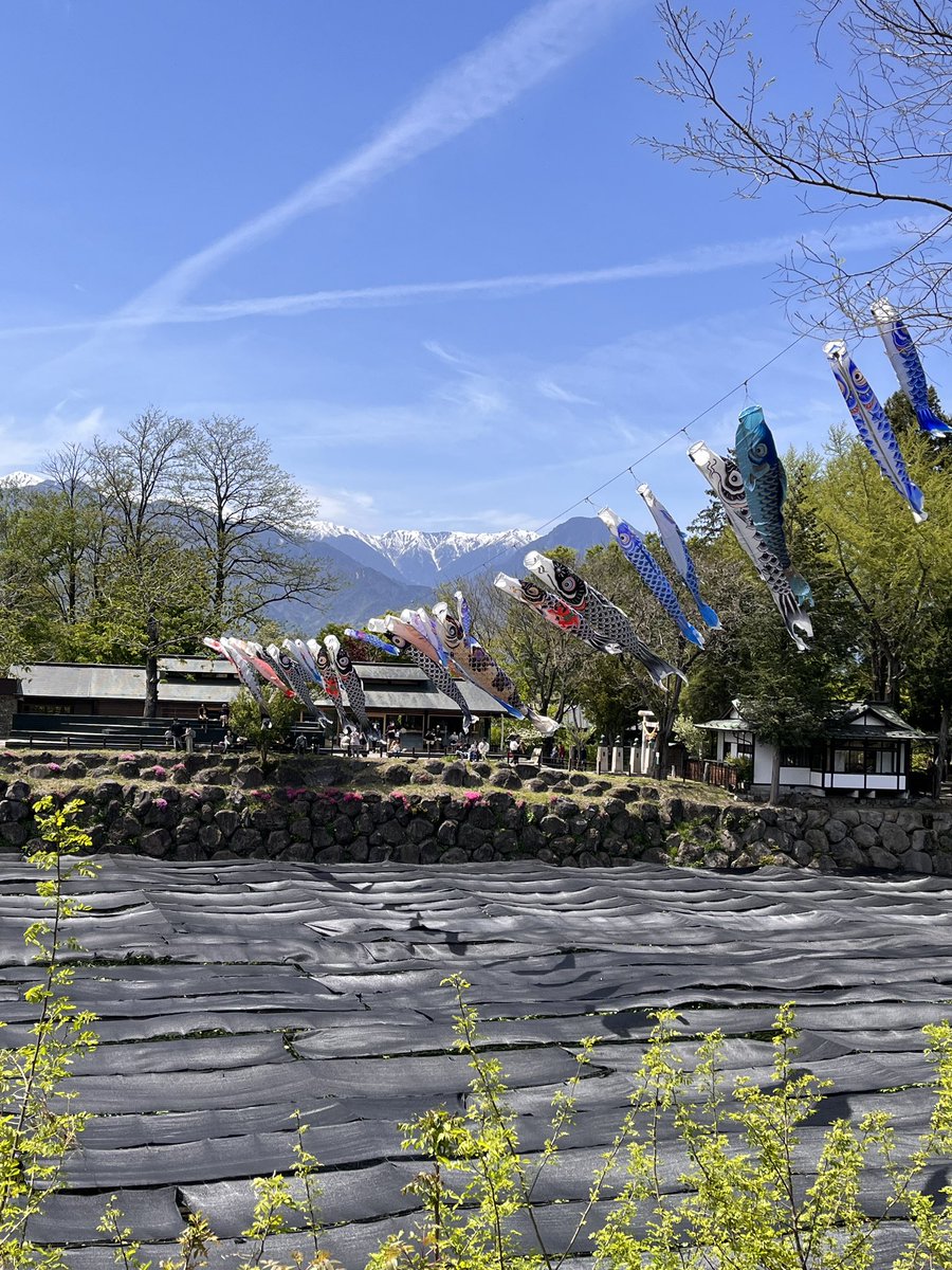 toyamanokansan's tweet image. この前の大王ワサビ農場で。見える山は蝶ヶ岳、常念岳の方、去年登ったんだとちょこっと感動。