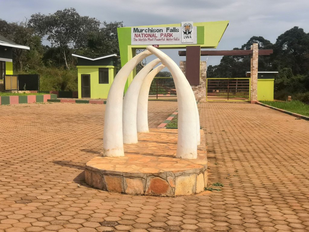 VisitAcholiLand's tweet photo. #Explore #North #Campaign 

Welcome to Murchison Falls NP, Uganda's most visited National Park.

It features several activities; Game drive, Boat Cruise, Chimps tracking, Top of the Falls Visit, Birding, Hiking &amp; Nature walks, Sport fishing etc.

@LillyAjarova  @ExploreUganda https://t.co/fUUkFeGA5E