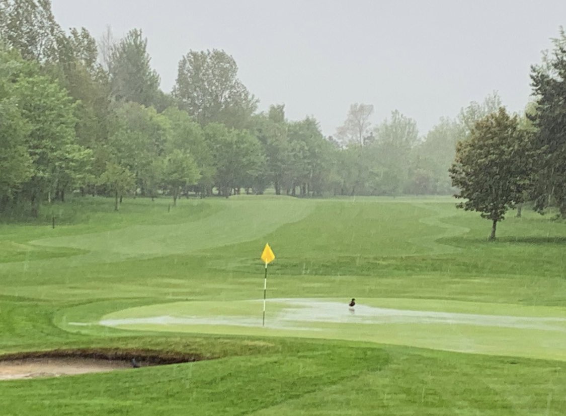 ⛳️….❌Turn it in will ya😤☔️
