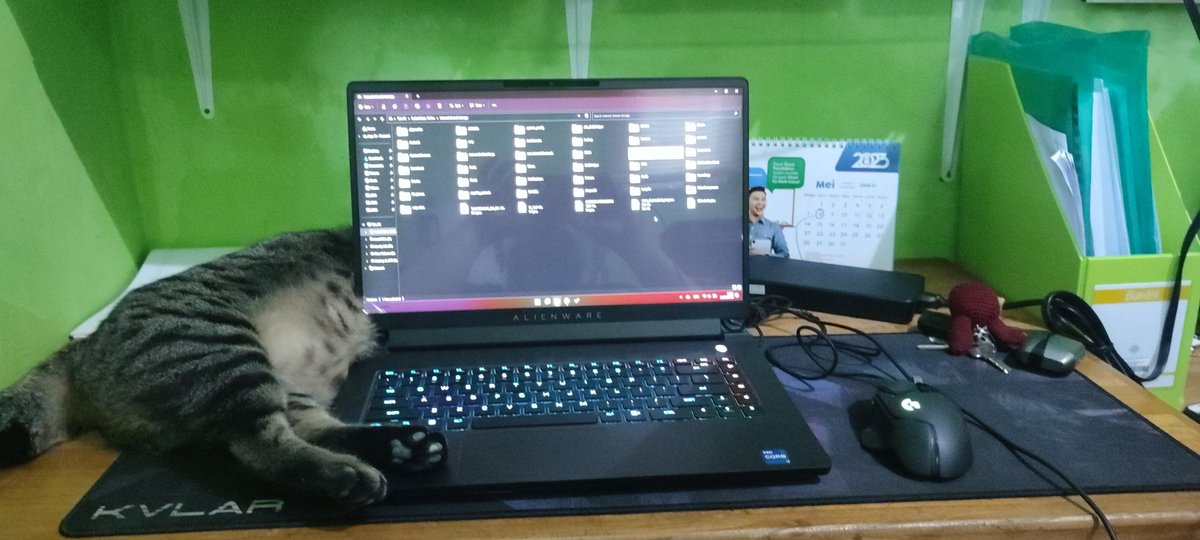 Ini kyapaaa jerrr batis keatas laptop. 😿