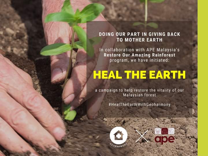 A crucial step of giving back to our mother earth.

#healtheearth #treeplanting #csr 

m.facebook.com/story.php?stor…