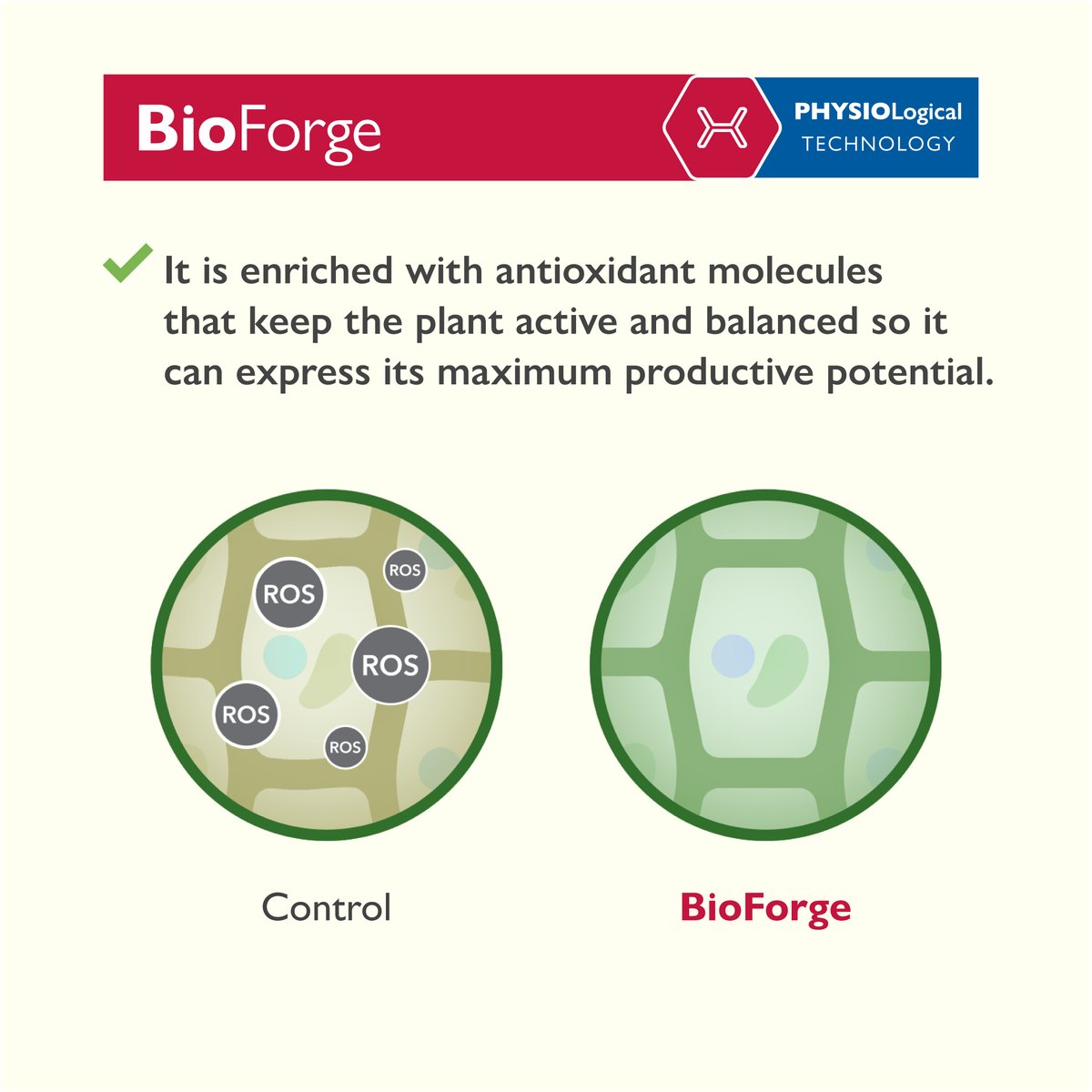 StollerEurope's tweet photo. π
π‘πΏ This spring and summer, reduce damage from high temperatures and get an optimal development of your crops with the #StollerSolution #BioForge!
πΉ Visit our web to contact your closest advisor for personalized assistance: https://t.co/L9lOPaWTwx https://t.co/2CqOF5yCcr